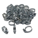 Twin Eagle Imports 50 Piece Zinc 12-23mm Worm Drive Hose Clamp